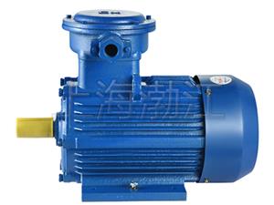 防爆電動(dòng)機(jī)