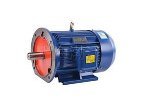 立臥式三相異步電動(dòng)機(jī)