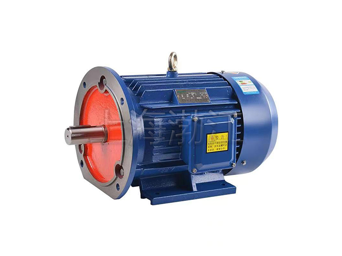 立臥式三相異步電動機(jī)
