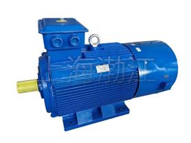 電機(jī)-電動(dòng)機(jī)