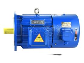 變頻電動(dòng)機(jī)-變頻電機(jī)-變頻調(diào)試電機(jī)