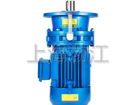 擺線針減速電機(jī)-擺線減速電機(jī)-擺線針輪減速電機(jī)